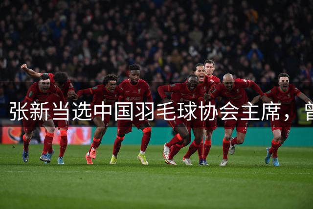 张新当选中国羽毛球协会主席，曾为巴黎奥运会中国体育代表团秘书长